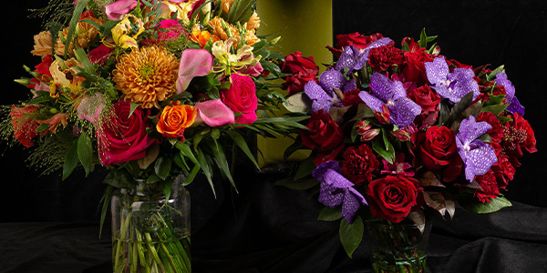 Valentines-Appleyard-1_cropped